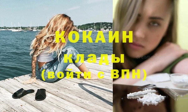 дживик Покров