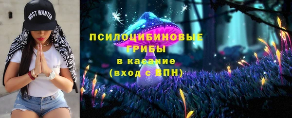 дживик Покров